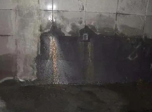 Z6·尊龙「中国」官方网站