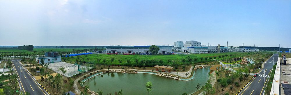 Z6·尊龙「中国」官方网站