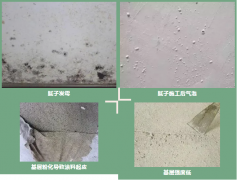 Z6·尊龙「中国」官方网站