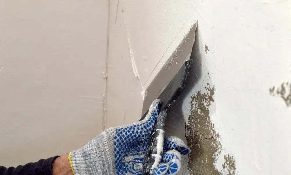 Z6·尊龙「中国」官方网站