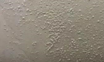 Z6·尊龙「中国」官方网站