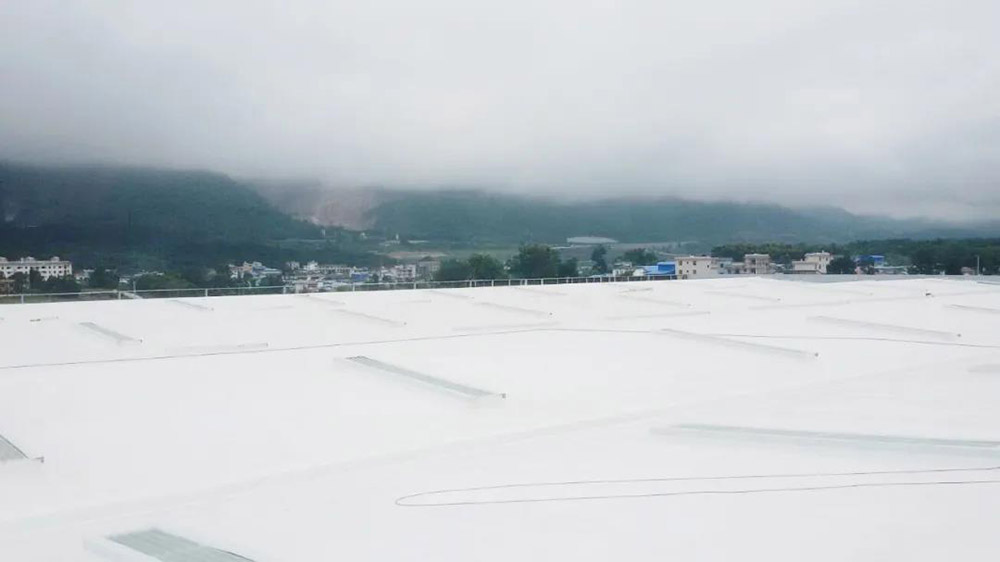 Z6·尊龙「中国」官方网站