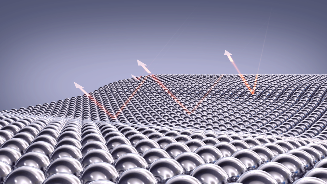 Z6·尊龙「中国」官方网站