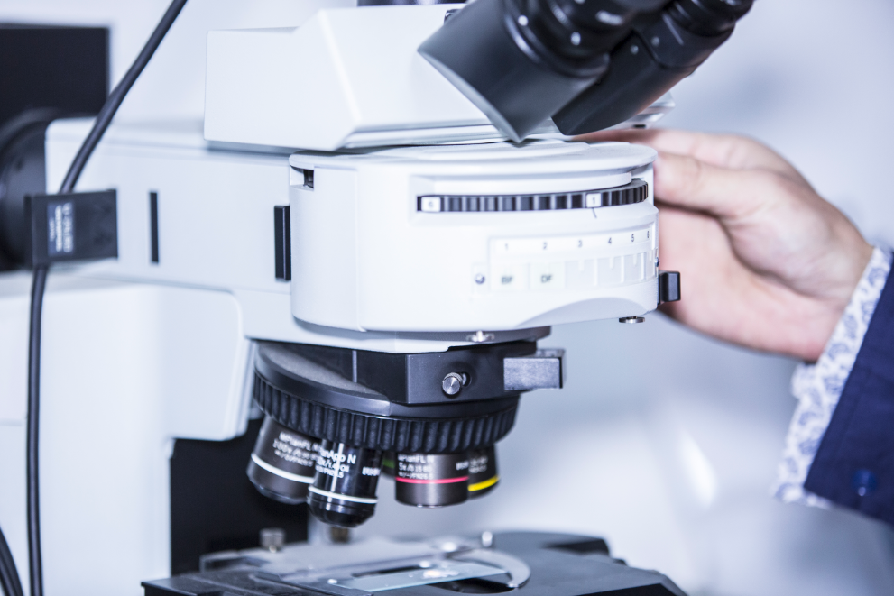 Z6·尊龙「中国」官方网站