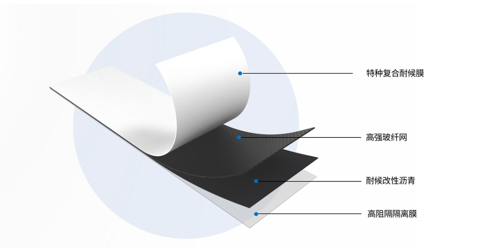 Z6·尊龙「中国」官方网站