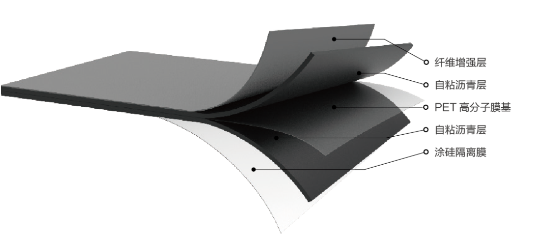 Z6·尊龙「中国」官方网站