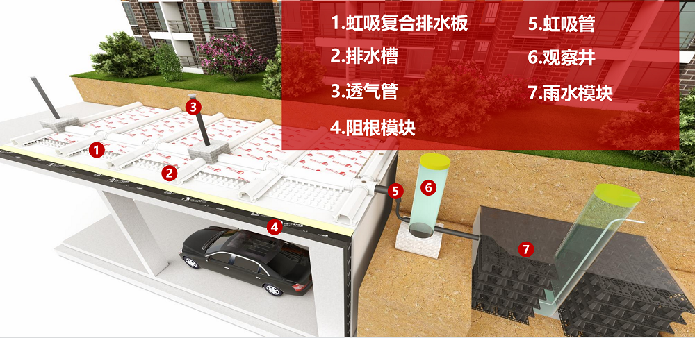 Z6·尊龙「中国」官方网站