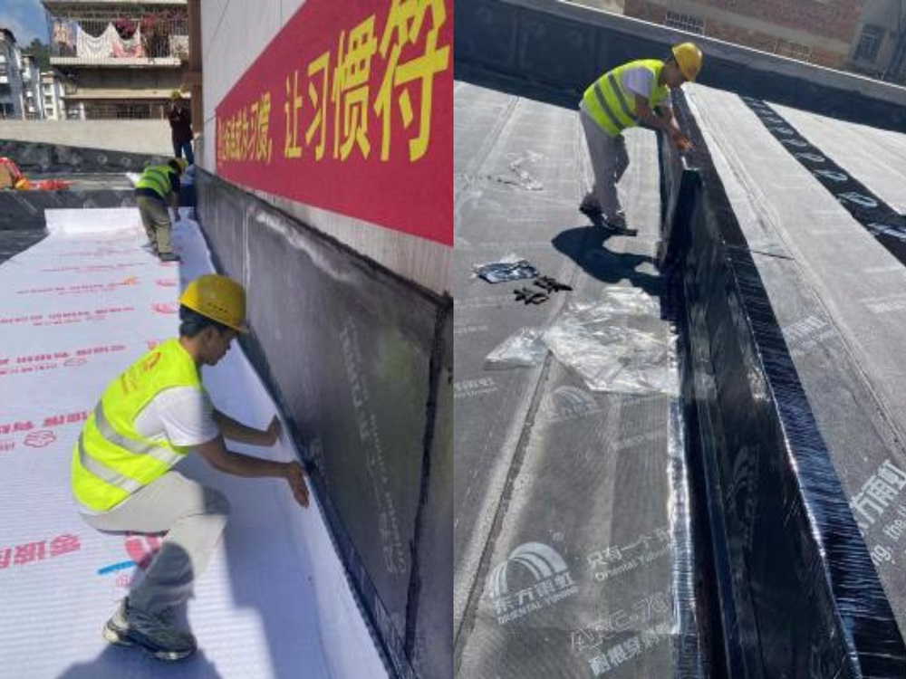 Z6·尊龙「中国」官方网站