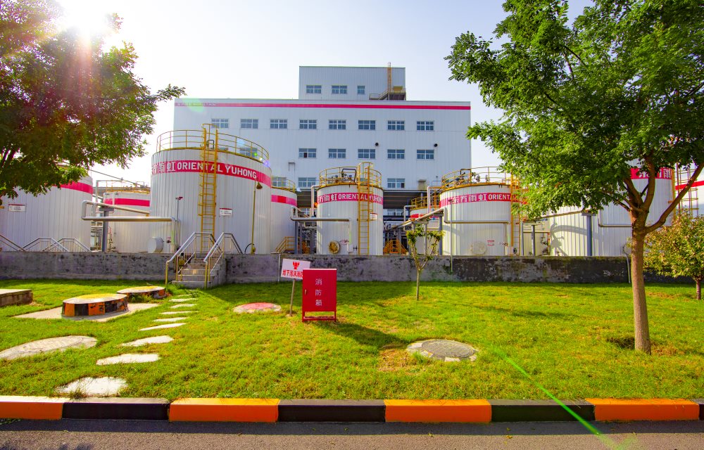 Z6·尊龙「中国」官方网站