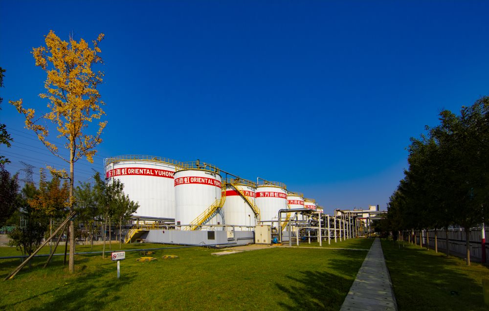 Z6·尊龙「中国」官方网站