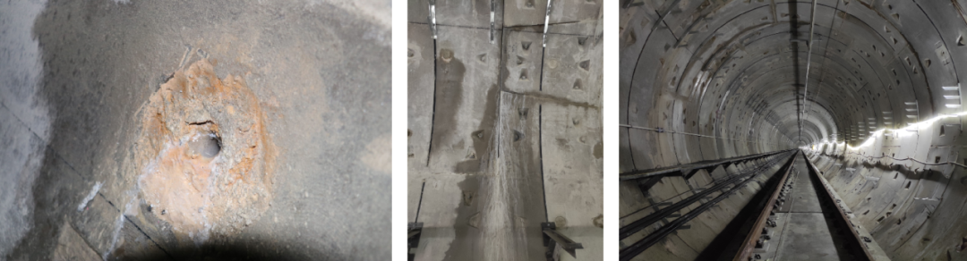 Z6·尊龙「中国」官方网站