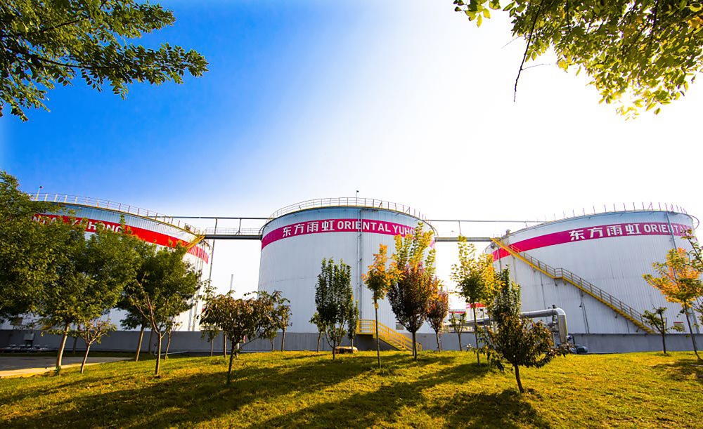 Z6·尊龙「中国」官方网站